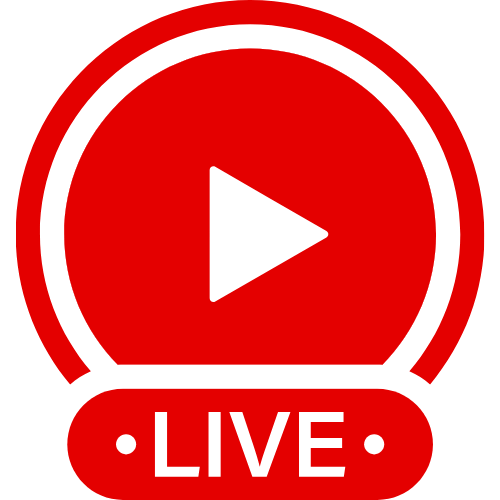 Wettpolly | Live Webcam Shows & Interactive Adult Entertainment